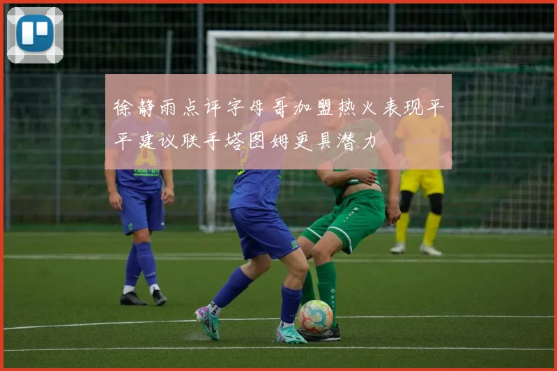 徐静雨点评字母哥加盟热火表现平平建议联手塔图姆更具潜力